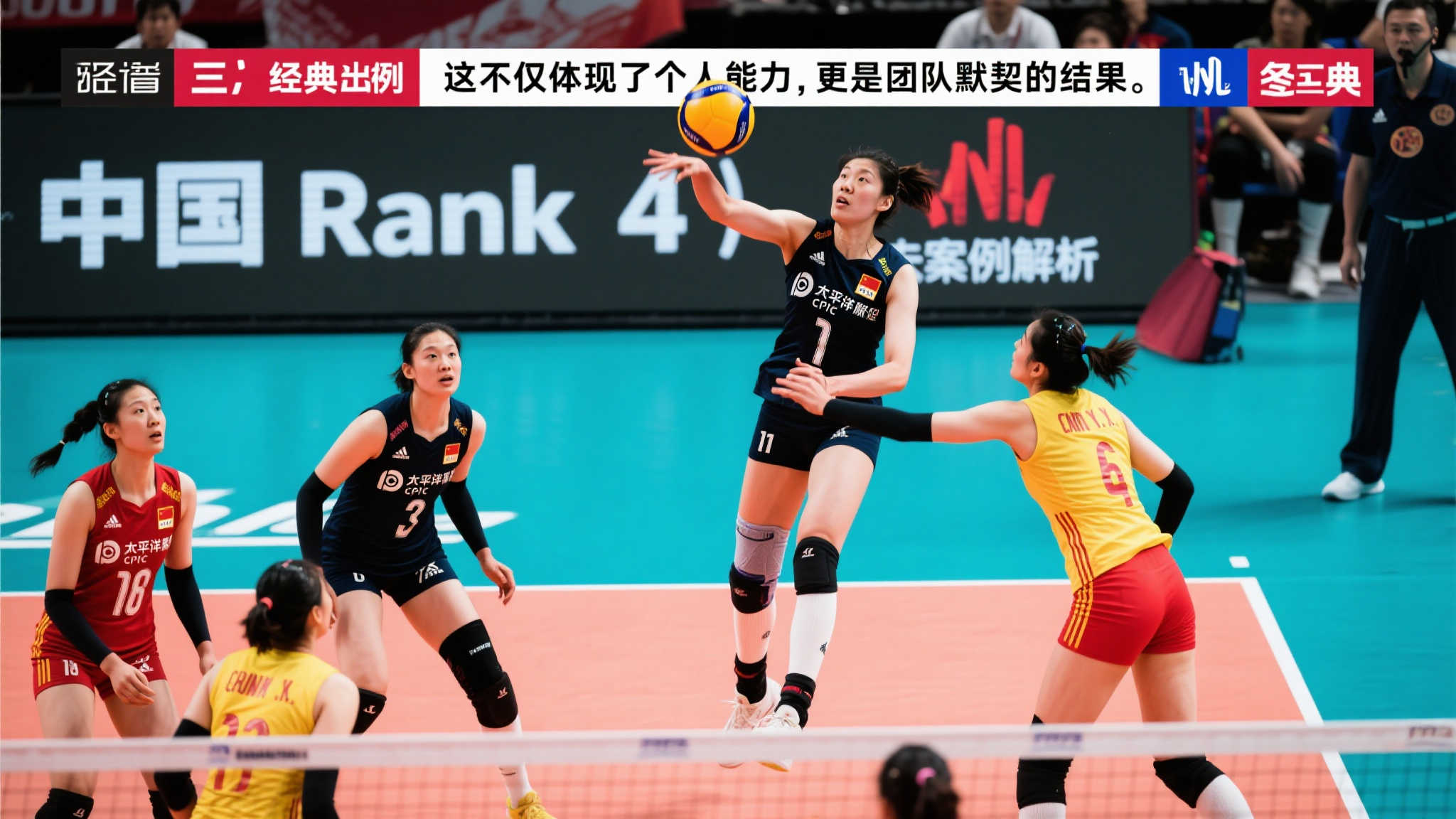 央视体育晨报:中国女排最新动态文字报道 央视体育晨报:中国女排最新动态文字报道